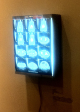  Borborygmi (2012) Light box, cut paper, CT scan 18”x 24” x 4” plus power cord